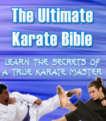 The Ultimate Karate Bible